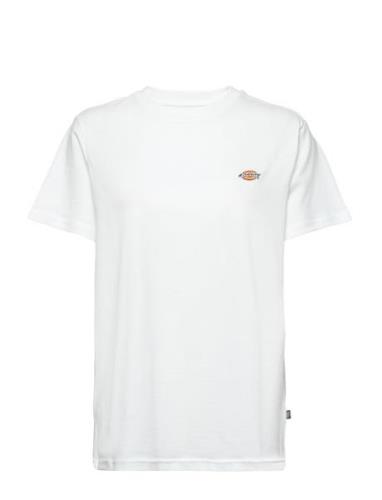 Mapleton Ss Tee Dickies White