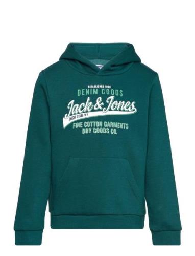 Jjelogo Sweat Hood 2 Col 24/25 Noos Mni Jack & J S Green