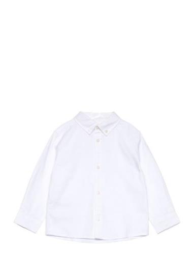 Oxford Cotton Shirt Mango White