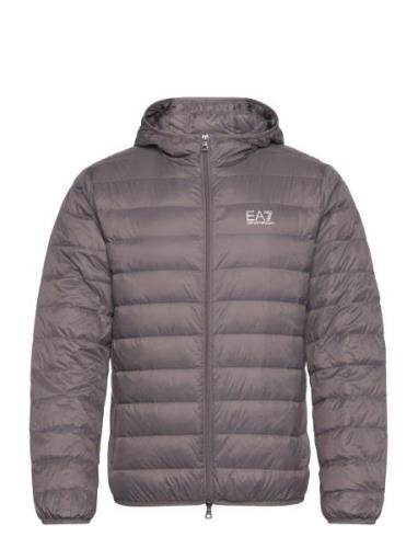 Down Jacket EA7 Grey