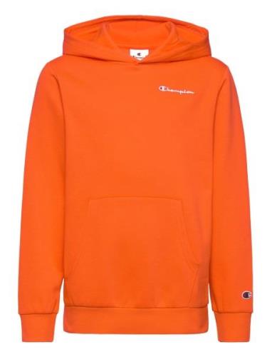 Hooded Sweatshirt Champion Orange