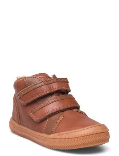 Bisgaard Cuba Bisgaard Brown