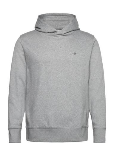 Reg Emb Archive Shield Hoodie GANT Grey