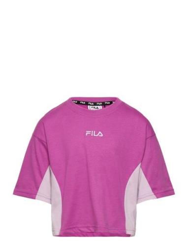 Badajoz Tee FILA Purple