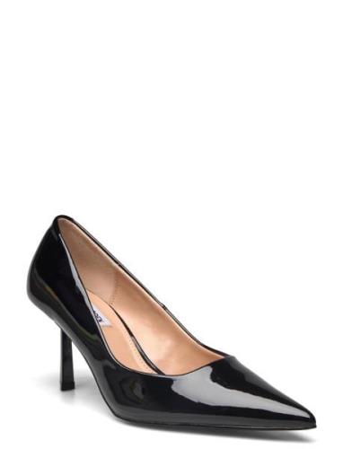 Vivion Pump Steve Madden Black