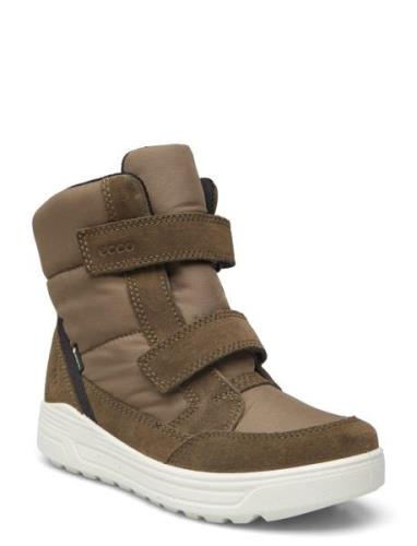 Urban Snowboarder ECCO Khaki