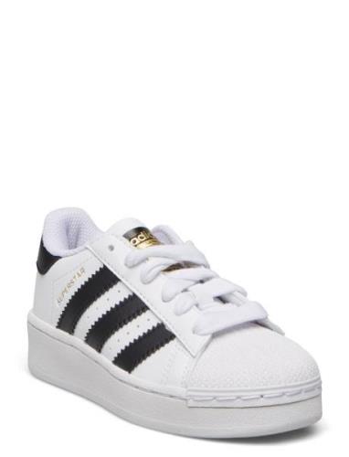 Superstar Xlg C Adidas Originals White