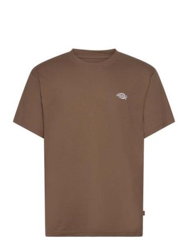 Summerdale Ss Tee Dickies Brown