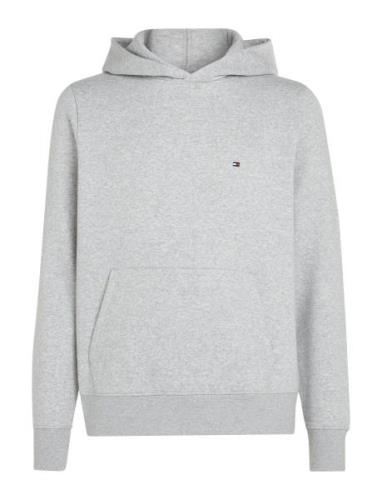 Flag Logo Hoody Tommy Hilfiger Grey