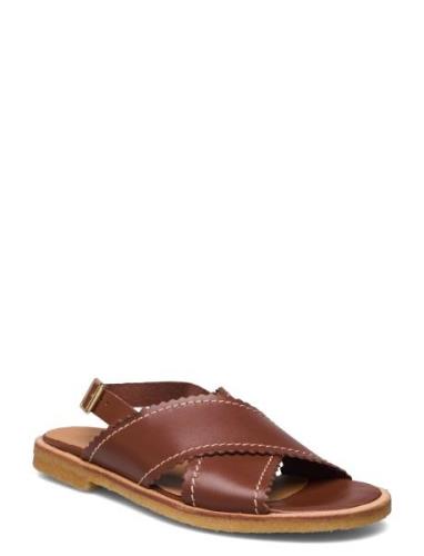 Sandals - Flat - Open Toe - Op ANGULUS Brown