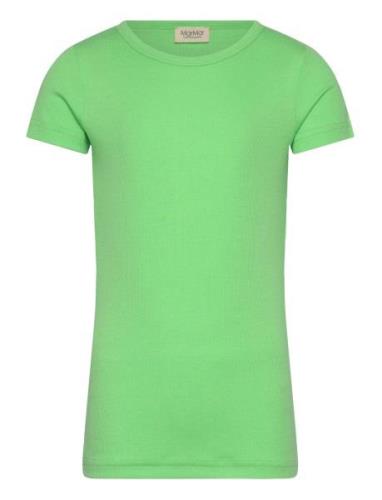 Tago MarMar Copenhagen Green