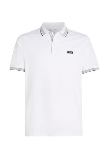 Stretch Pique Multi Tipping Polo Calvin Klein White