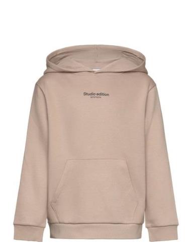 Nkmbrody Ls Nreg Sweat Wh Bru Noos Name It Beige