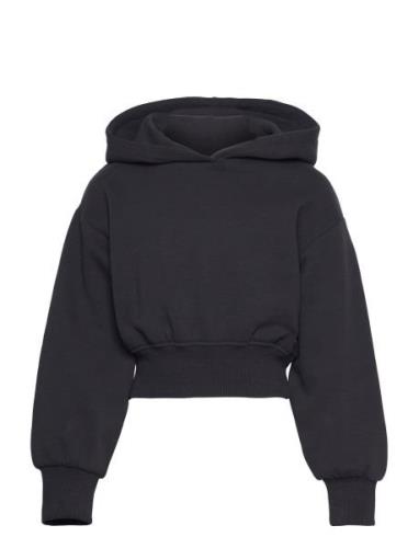 Cropped Hoody Tom Tailor Black