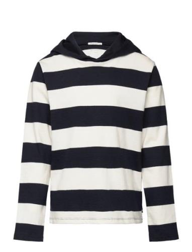 Striped Hooded Longsleeve Tom Tailor Navy