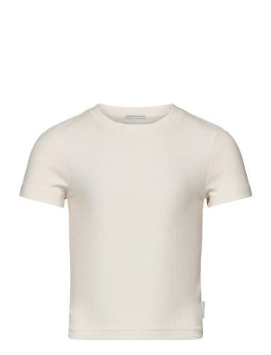 Cropped Rib T-Shirt Tom Tailor Cream