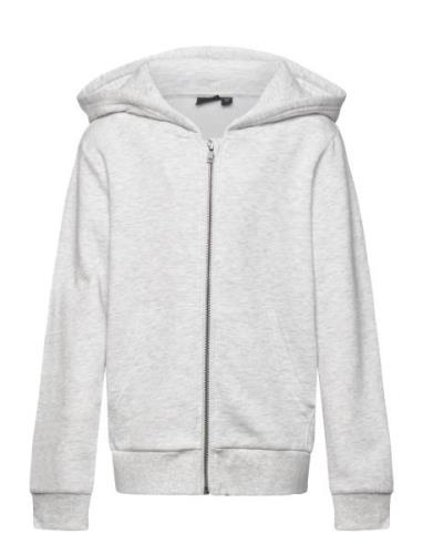 Nlnnizu Ls Bru Sweat Card W. Hood Noos LMTD Grey