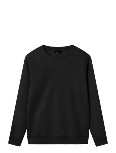 Nlnnizu Ls Bru O-Neck Sweat Noos LMTD Black