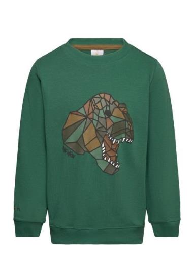 Tnlazaron Sweatshirt The New Green