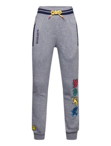 Pantalon Harry Potter Grey