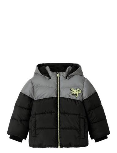 Nmmmorten Puffer Jacket Dino Detail Name It Black