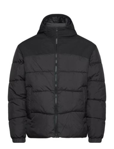 Jjmoon Hood Puffer Jack & J S Black