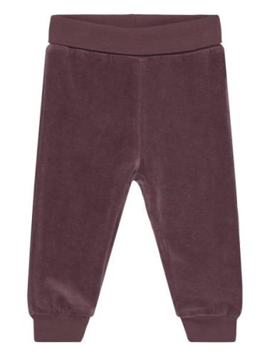 Pants Velour Fixoni Burgundy