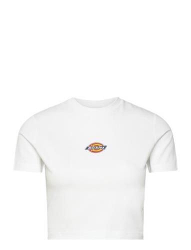 Maple Valley Tee Dickies White