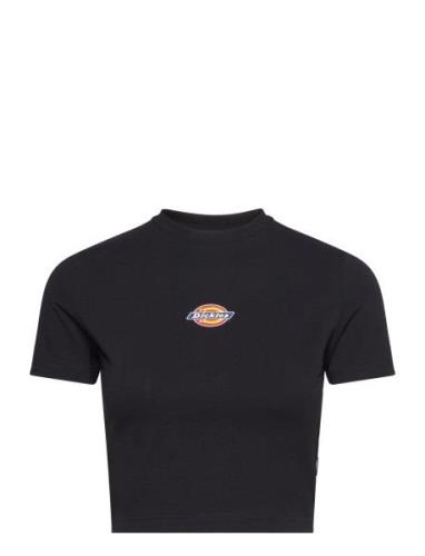 Maple Valley Tee Dickies Black