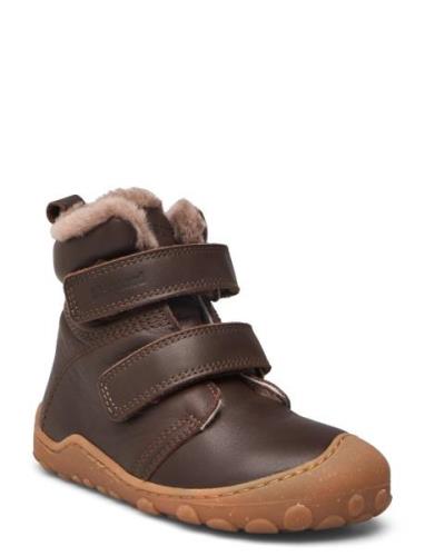 Bisgaard Luke Lamb Bisgaard Brown