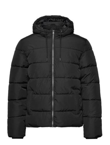 Onsmelvin Life Hood Puffer Jacket Otw Vd ONLY & SONS Black