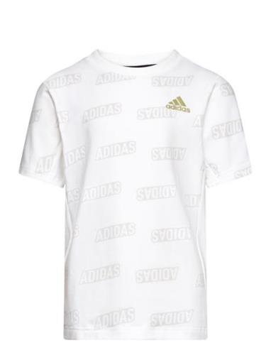 Jb Bluv Q4Aop T Adidas Sportswear White