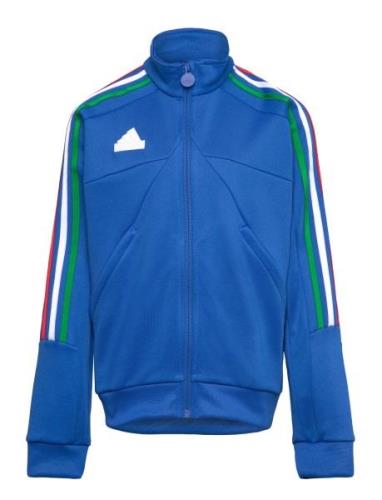 J Np Ttop Adidas Sportswear Blue