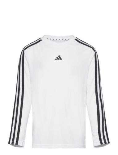 J Tr-Es 3S Ls Adidas Sportswear White