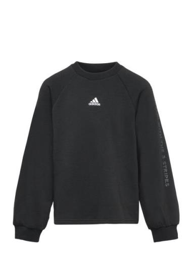 Jg Jam Crew Adidas Sportswear Black