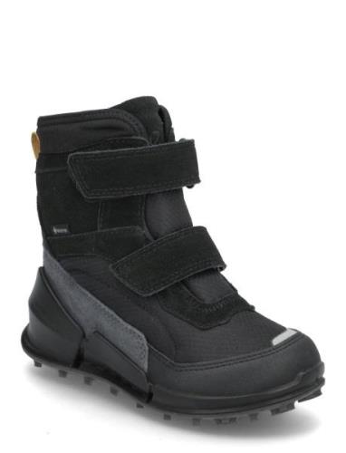 Biom K2 ECCO Black