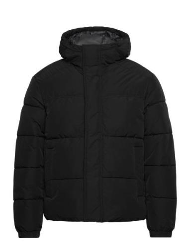 Jjebradley Puffer Hood Sn Jack & J S Black