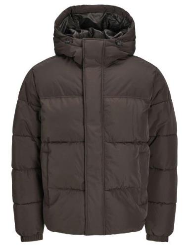 Jjebradley Puffer Hood Sn Jack & J S Brown