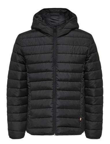 Onsbrody Quilt Hood Jacket Otw Vd ONLY & SONS Black