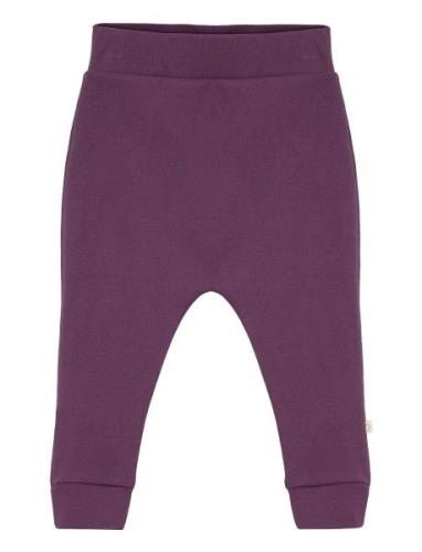 Pants Smallstuff Purple