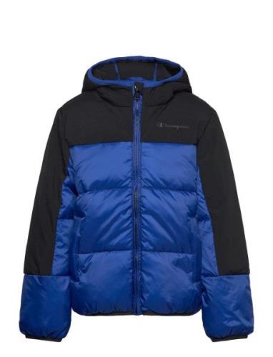 Hooded Jacket Champion Blue