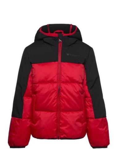 Hooded Jacket Champion Red