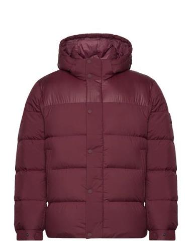 Mix Down Hooded Puffer Jacket Tommy Hilfiger Red