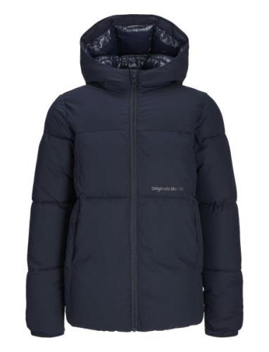 Jorvesterbro Puffer Jacket Aw24 Sn Jnr Jack & J S Navy