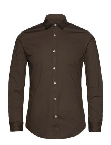 Essential Poplin Solid Scotch & Soda Brown