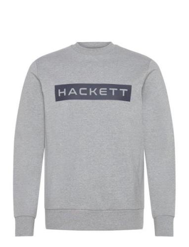 Hs Essential Sp Crew Hackett London Grey