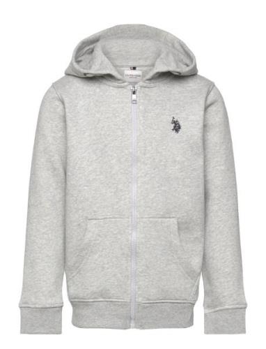 Dhm Bb Zip Hoodie U.S. Polo Assn. Grey