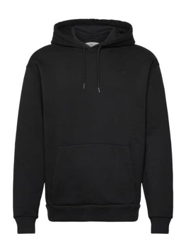 Hco. Guys Sweatshirts Hollister Black