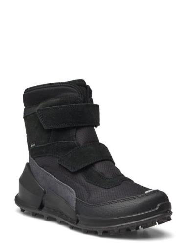 Biom K2 ECCO Black