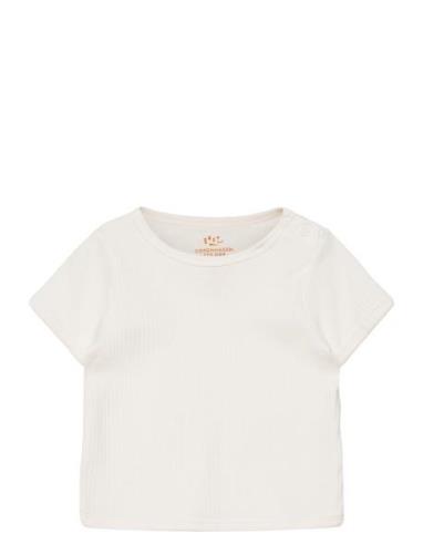 Rib Jersey T-Shirt Copenhagen Colors Cream